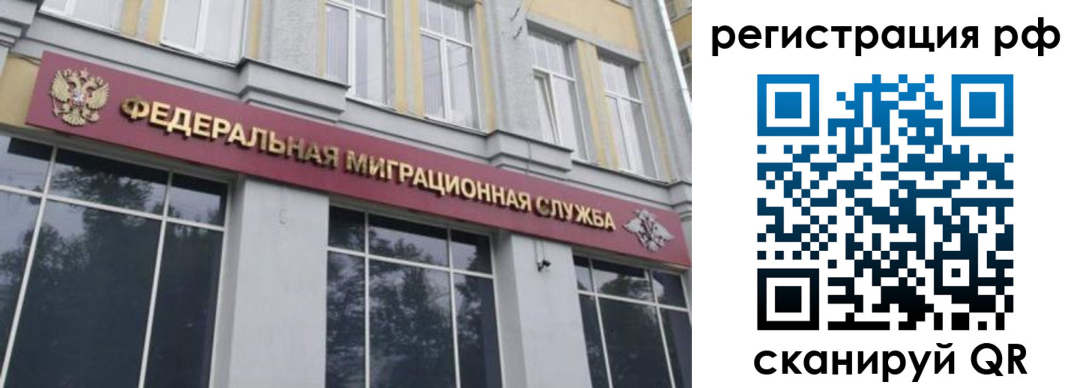 временная регистрация 2025 в Мончегорске